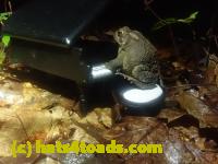 /home//u458753944/public_html/sourcegallery//McKaig Nature Center/2024-09-29/P9291570.JPG